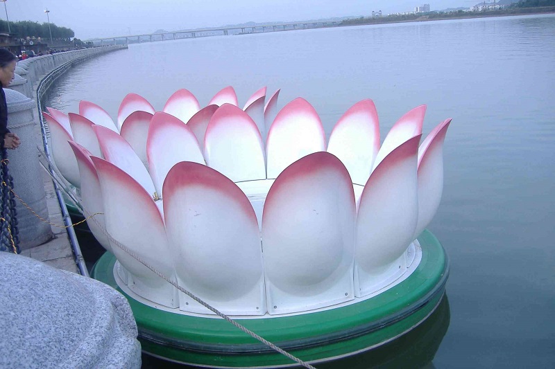 water lily boat荷花公园游船